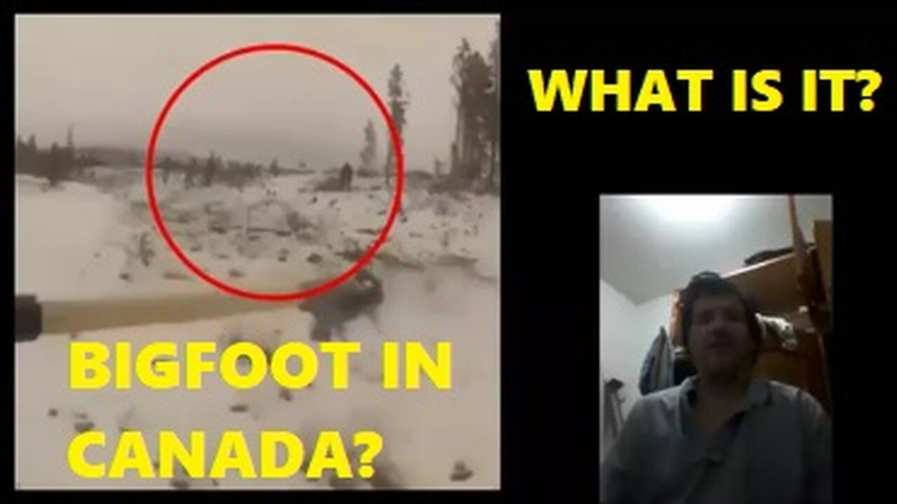 Bigfoot, Sasquatch, Caught on Camera in Canada? What Is It?