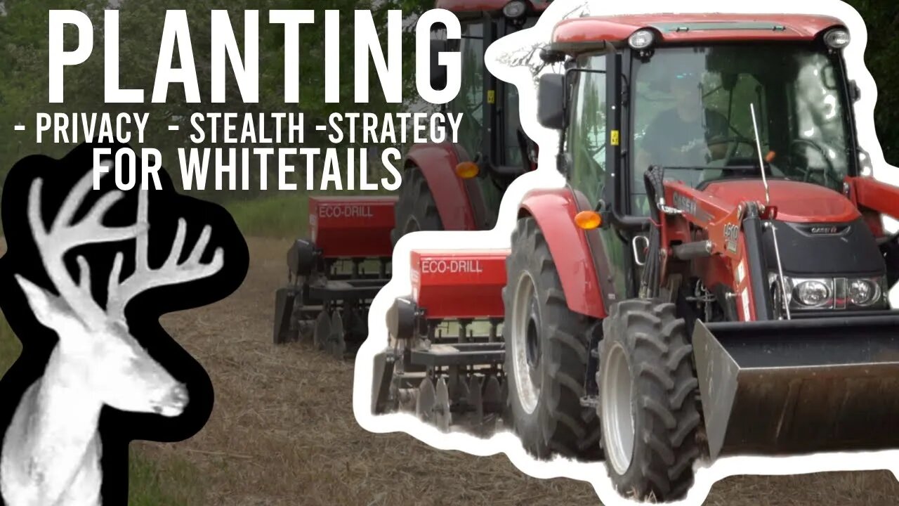 Privacy ,Stealth , & Strategy For Whitetails!