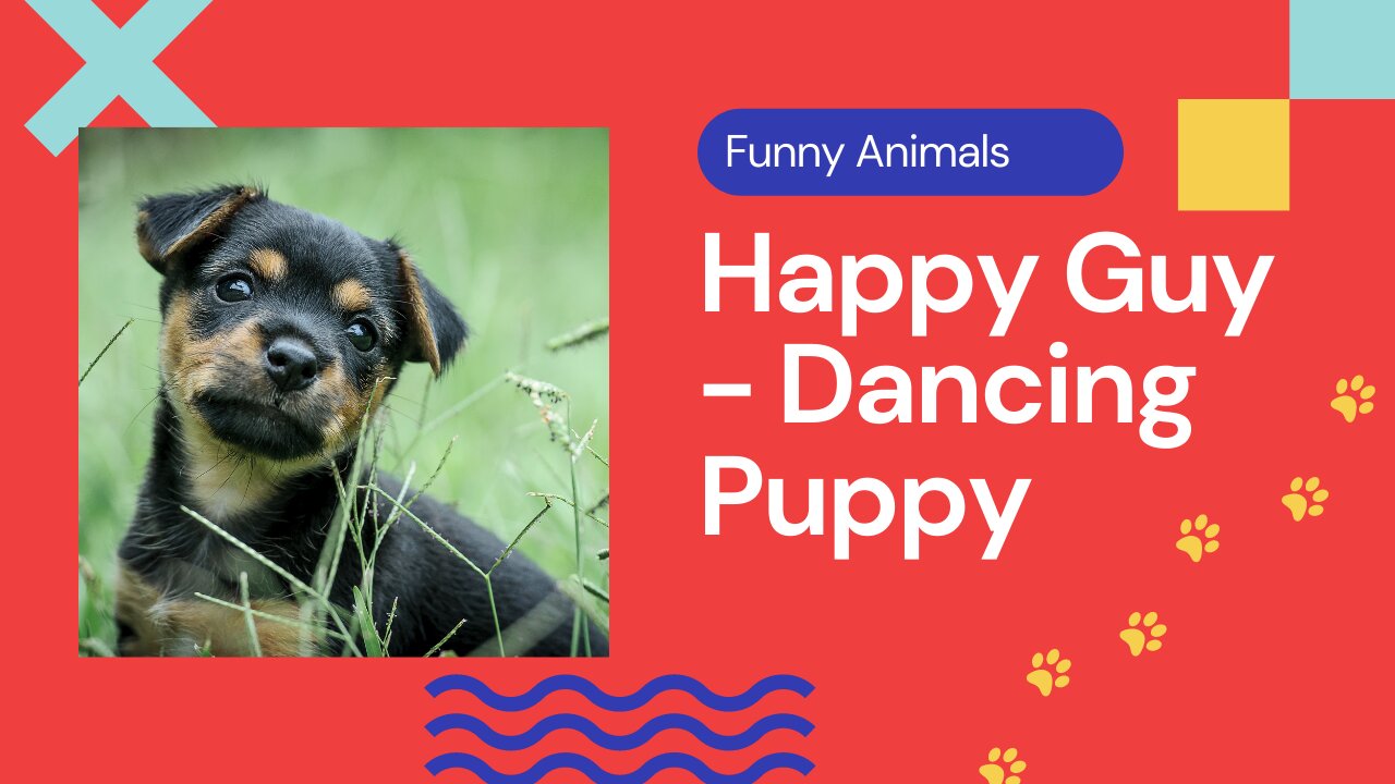 Happy Guy-Puppy Dancing