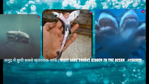 समुद्र में छुपी सबसे खतरनाक शार्क | Most Rare Sharks Hidden in The Ocean . #shorts