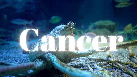 Cancer Scorpio Season Messages 10/23/24-11/22/24