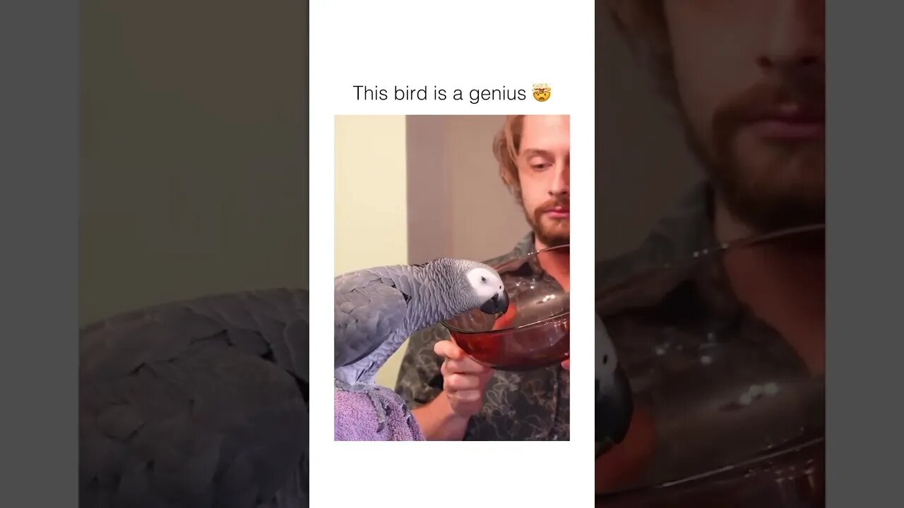 Unbelievable 😳🤯