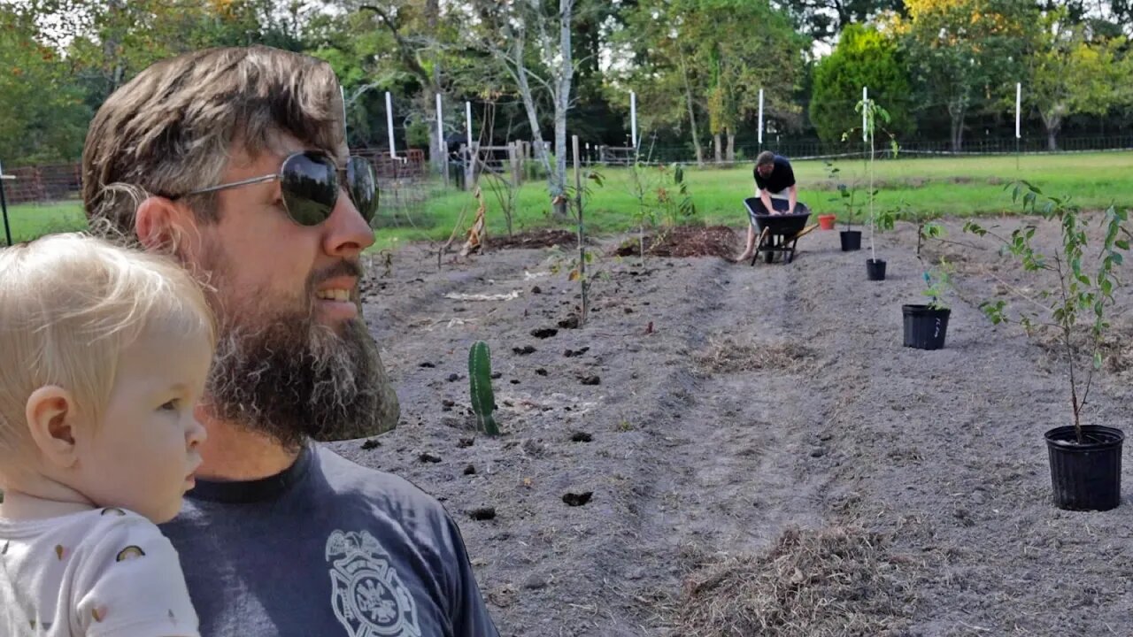 How to Install a Grocery Row Garden and Turn a Lawn into a Long-Term Food Supply