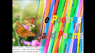 When a butterfly land on your shoulder, know that I am hugging you [Quotes and Poems]