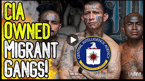 CIA OWNED MIGRANT GANGS! - The Psyop Leading To CIVIL WAR!