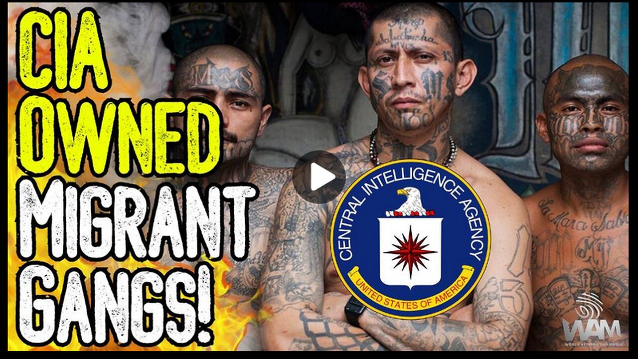 CIA OWNED MIGRANT GANGS! - The Psyop Leading To CIVIL WAR!