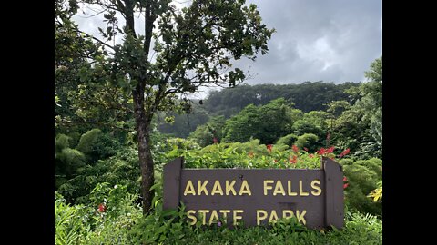 Akaka waterfall