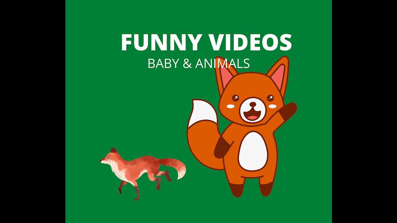 Funny Baby Videos - The 100 Funniest Baby Meet Animals videos