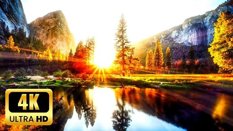 1 Hour of Beautiful Relaxing Music: Hear Birds Singing, Get Relaxed & Meditate