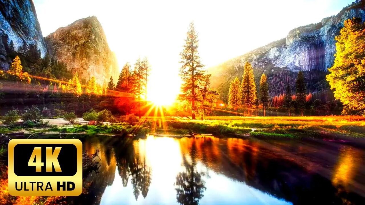 1 Hour of Beautiful Relaxing Music: Hear Birds Singing, Get Relaxed & Meditate