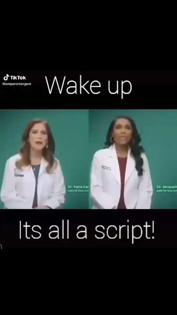 WAKE UP, IT'S ALL A SCRIPT!