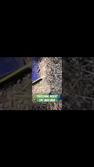 Will this make good bread?