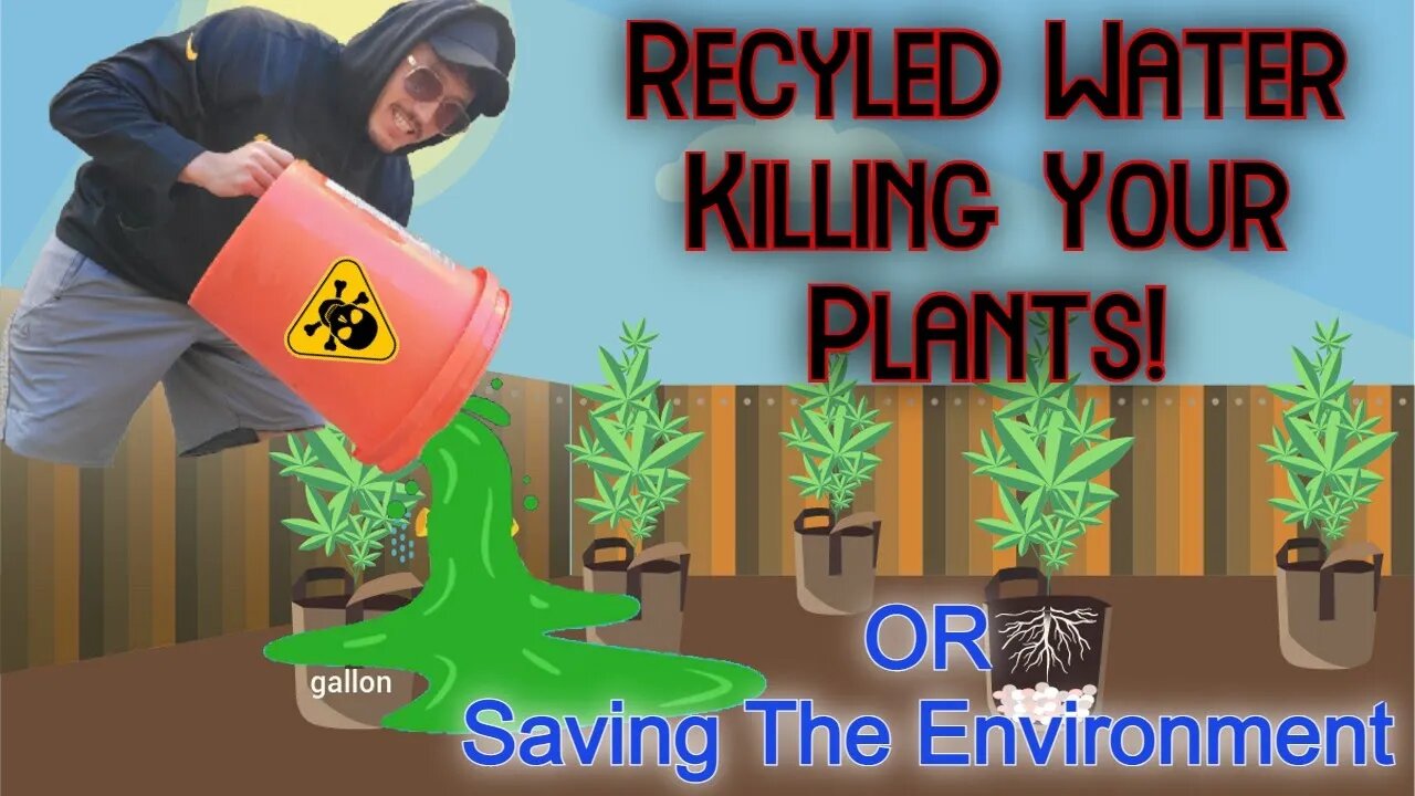 Is Recycled Water KILLING Your Plants?! Or SAVING The Environment & Your Money?