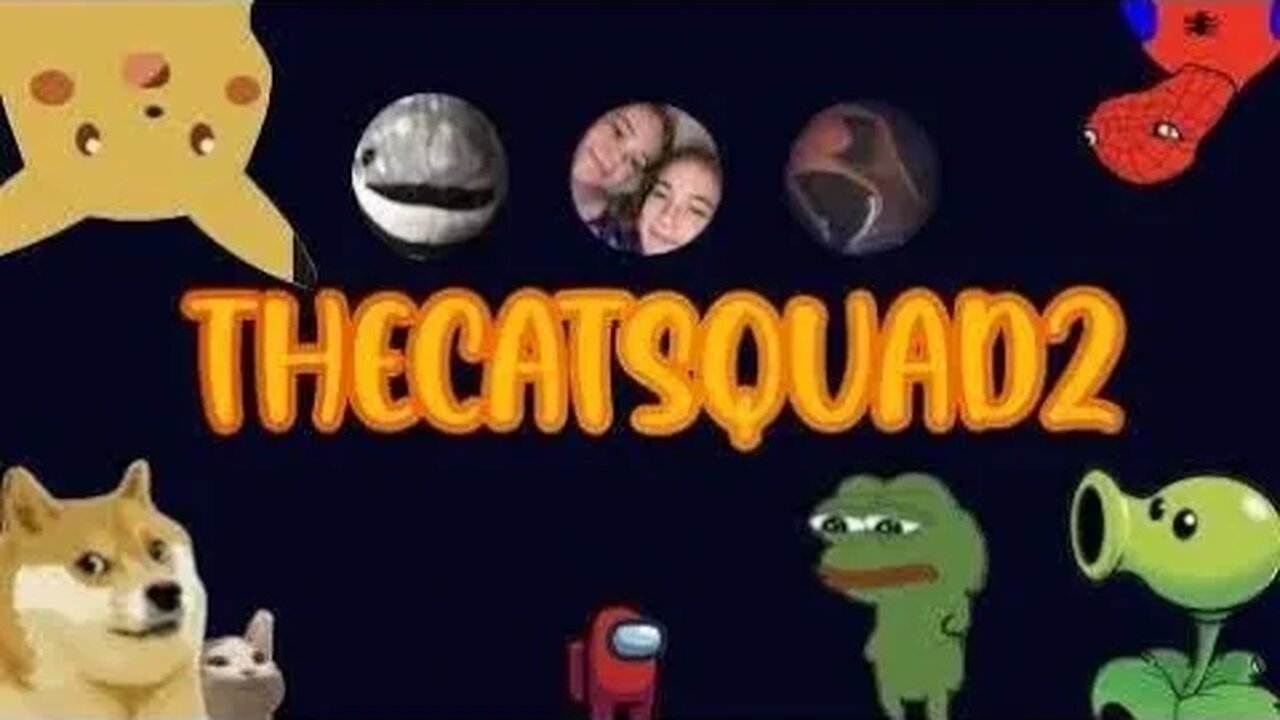 THECATSQUAD2, GOING LIVE IN FIVE!