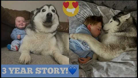 3 Years Of Love Between My Husky & Baby!! [CUTEST VIDEO EVER!] [WITH MUSIC]