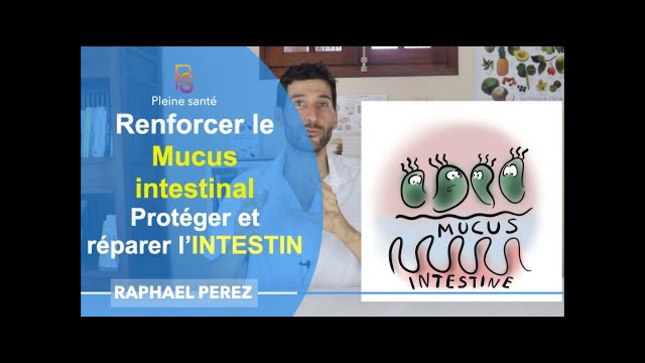 Renforcer le mucus intestinal pour renforcer et réparer l'intestin