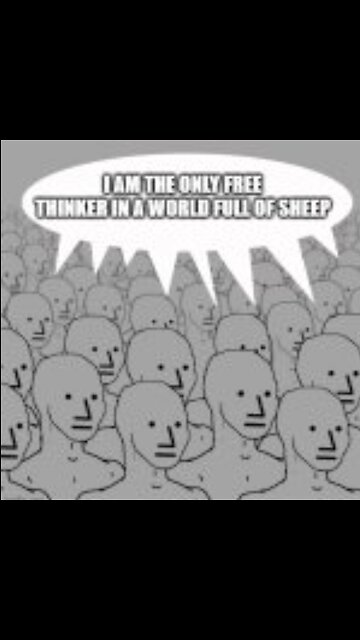 Are you a NPC? Are YOU Programmed? Ask yourself!