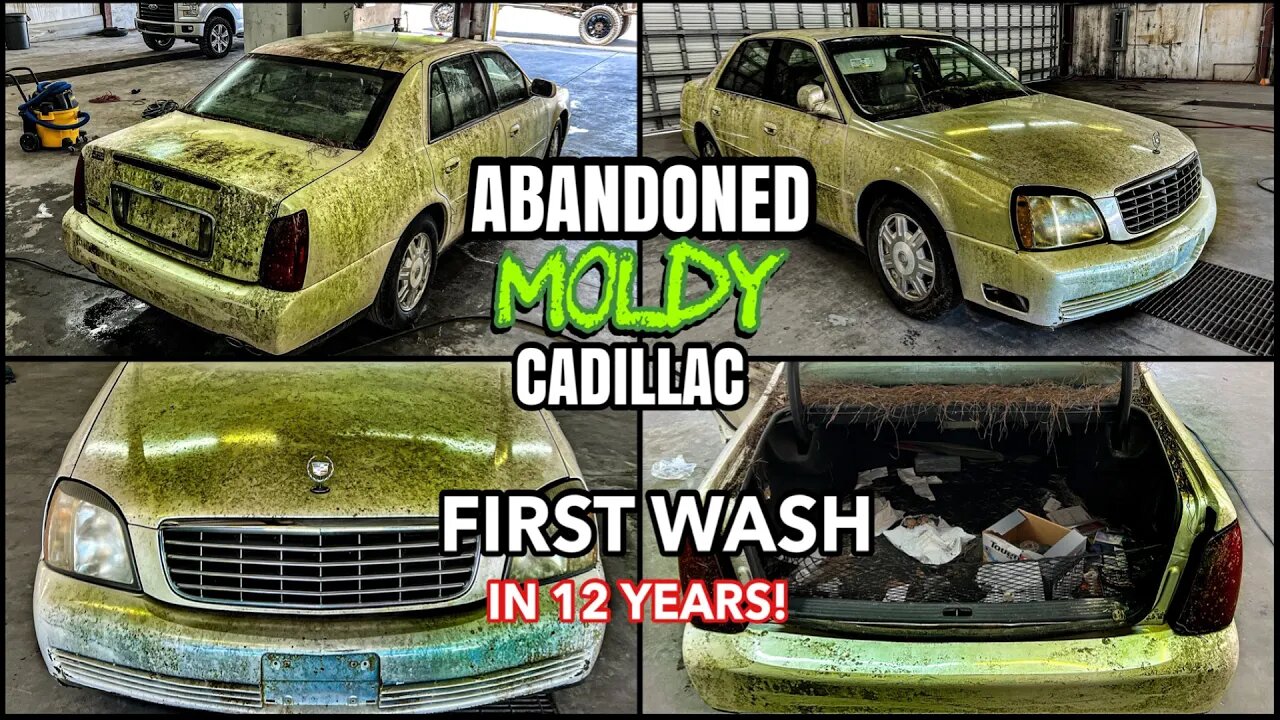 Deep Cleaning The MOLDIEST ABANDONED Cadillac Ever | Insane Disaster Car Detailing Transformation!