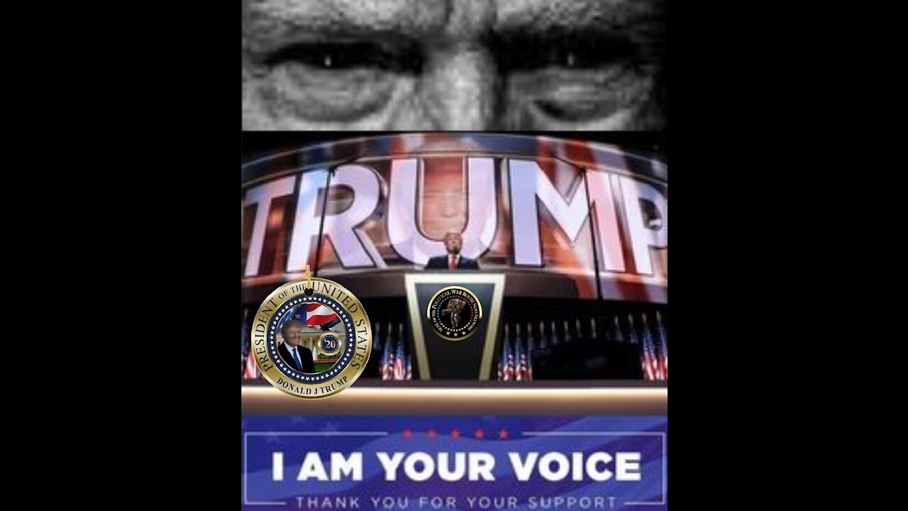 The 45th President Of The United States of America Donald J Trump The Movie