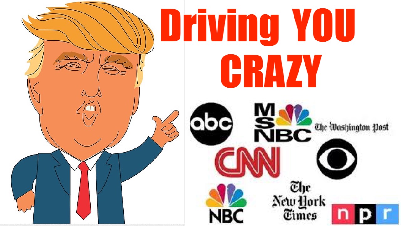 Who Drove you CRaZy the Last Four Years? The Media or Orange Man?