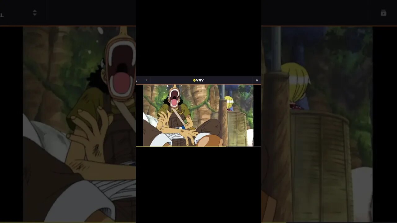 One Piece Theory- Is Luffy the Best Captain?