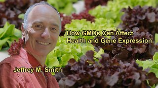 How GMOs Can Negatively Affect Gene Expression and Health with Jeffrey M. Smith