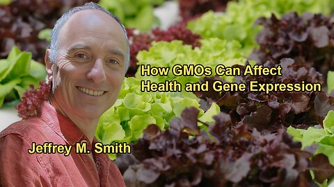 How GMOs Can Negatively Affect Gene Expression and Health with Jeffrey M. Smith