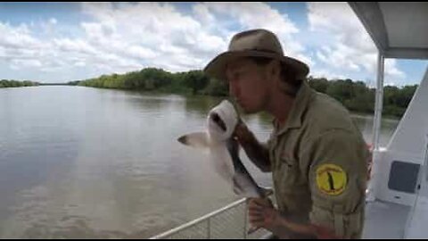 川に放流する前にサメにキスをする男性