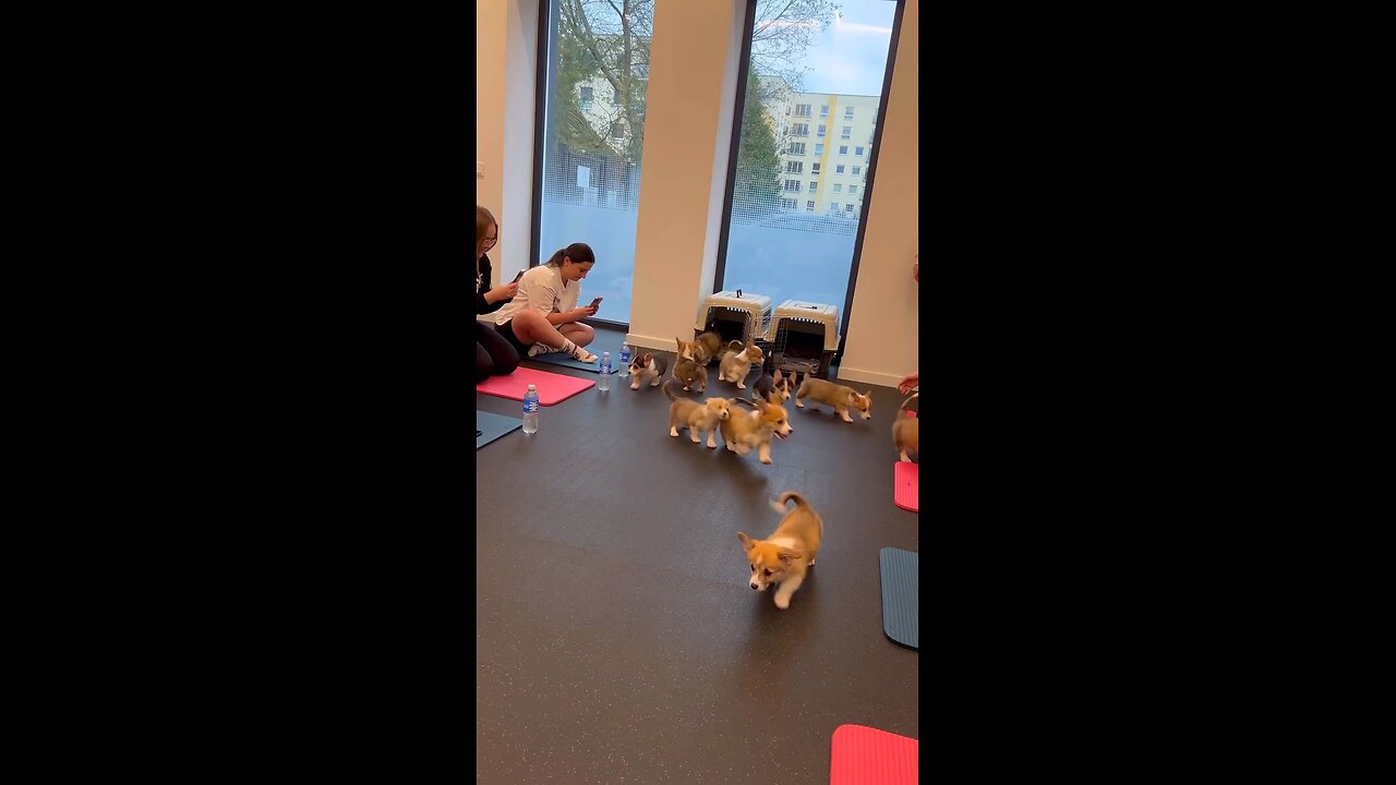 Who will join Yoga class with us?