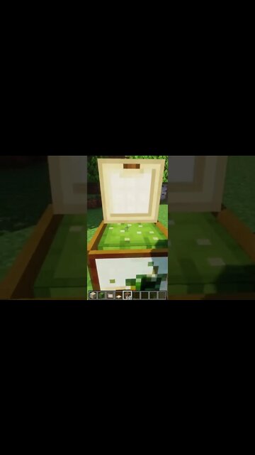 Minecraft #tiktok #Shorts