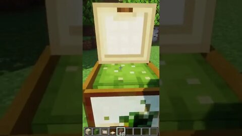 Minecraft #tiktok #Shorts