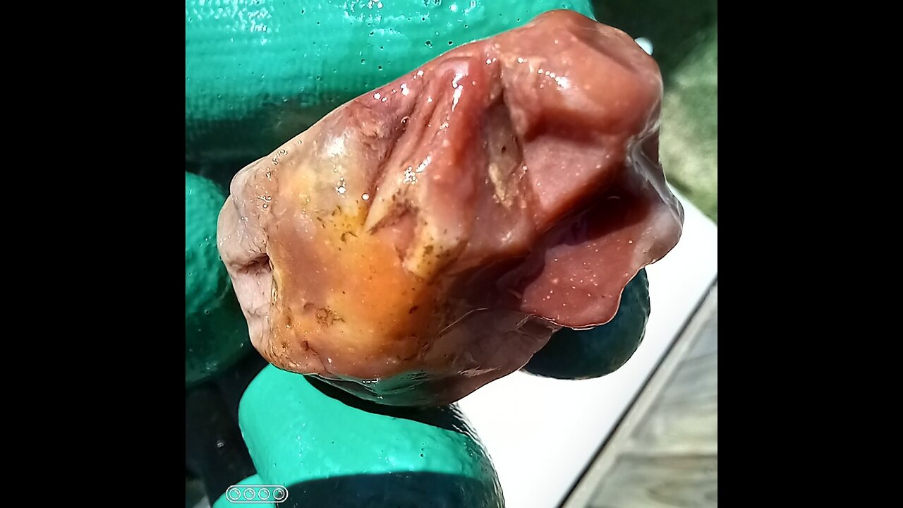 Agate nodule!