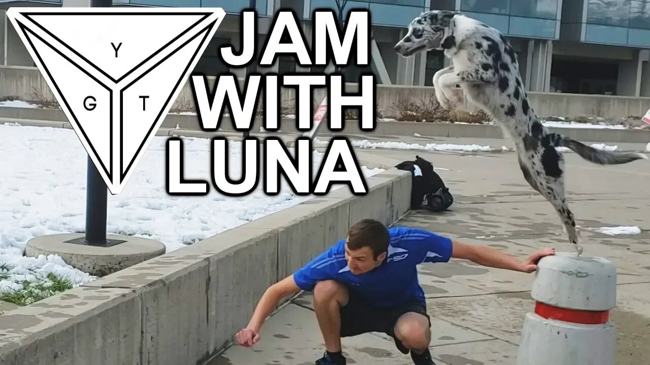 YGT Jam With Luna The Parkour Pup