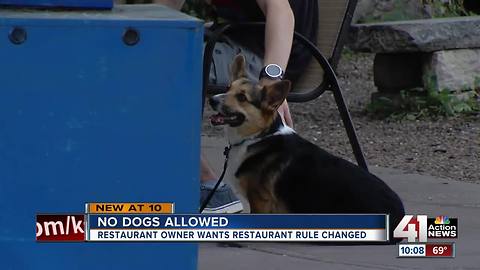 Dogs could soon be allowed on patios in KC