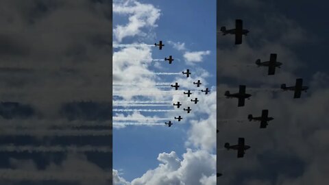 Flying in Formation!