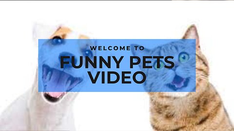 Funniest Animals 😂 New Funny Cats and Dogs Videos (Part 1)