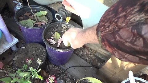 Off Grid Homestead Update After 1 Week Away