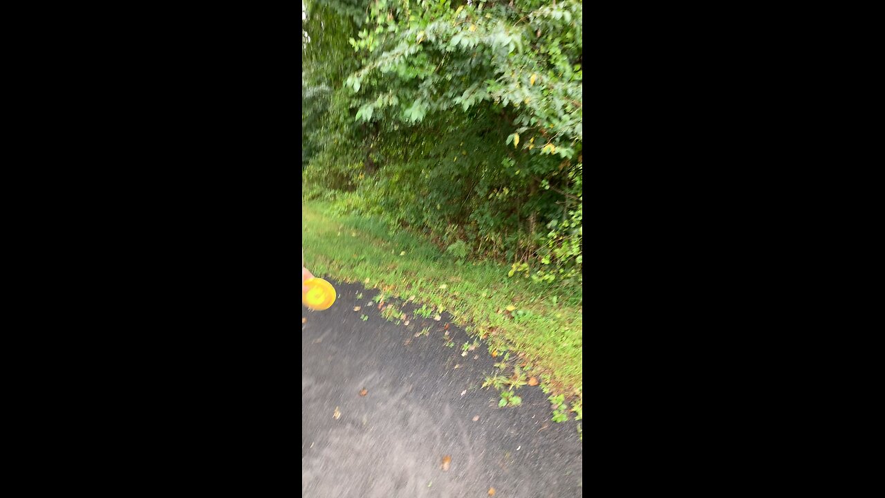 Tree hitters