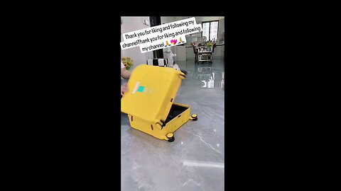 Cute little dog work