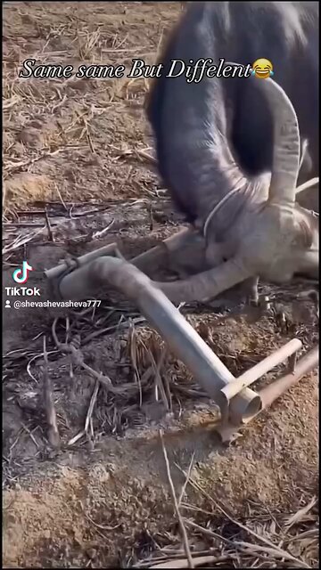 Matthew 11:30 - get yoked