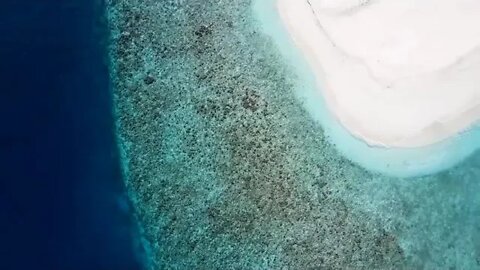 MALDIVES TRAVEL DOCUMENTARY The Pearls of the Indian Ocean 16