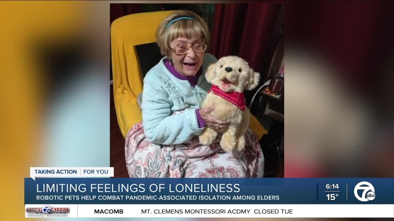 Robotic pets help combat pandemic-associated isolation among elders