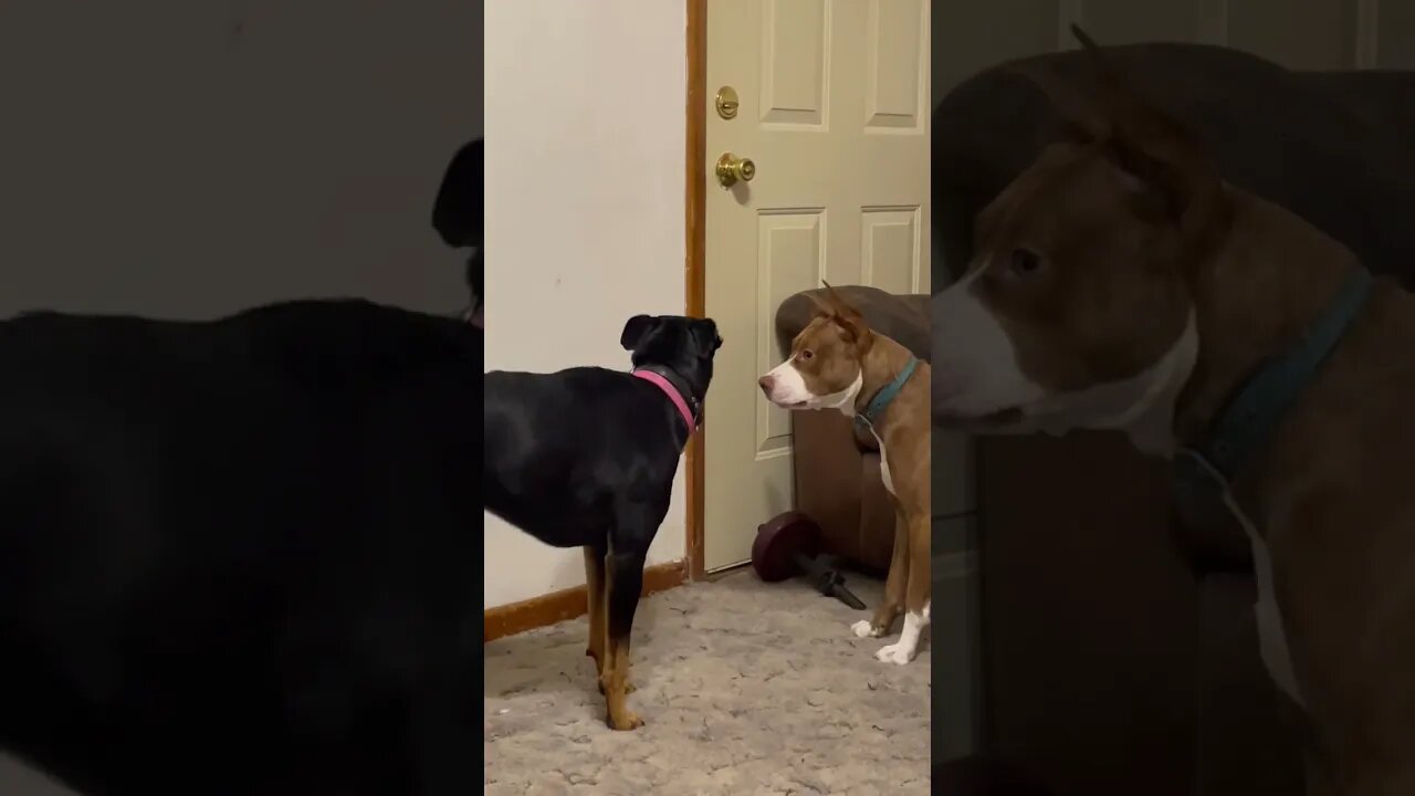 I’ll just ignore her. That will surely work.