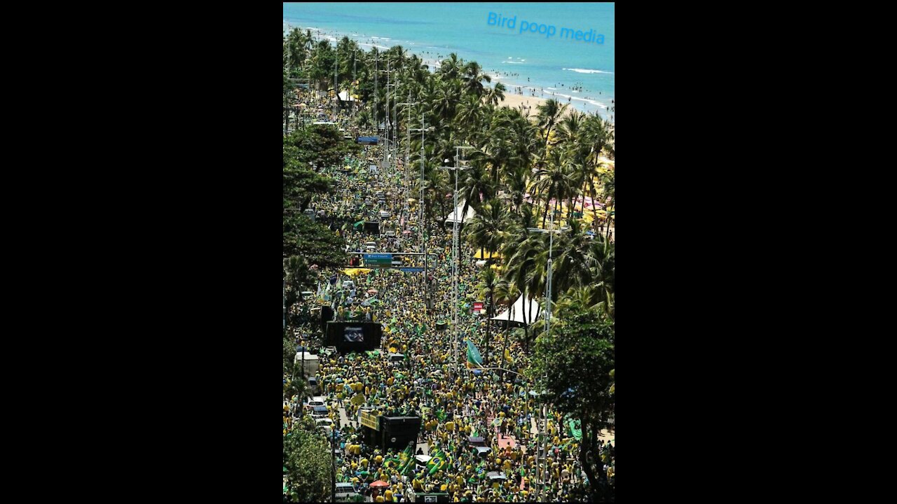Brazil stands 4 Freedom