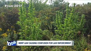 Ohio's hemp law causes confusion about whether to charge people for growing plants illegally