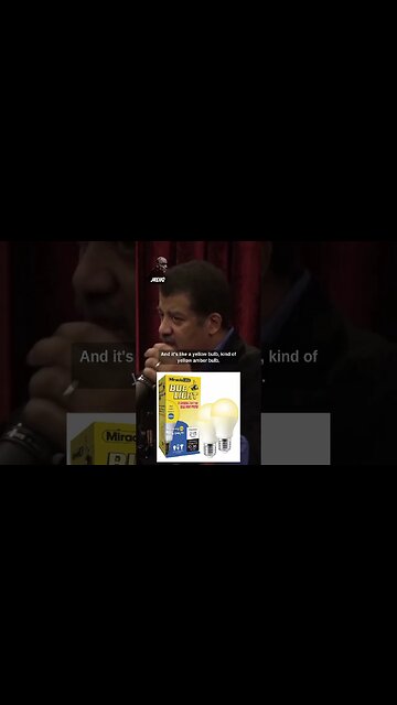 How bug zappers work