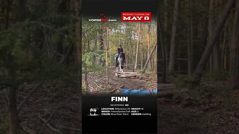 ＦＩＮＮ
