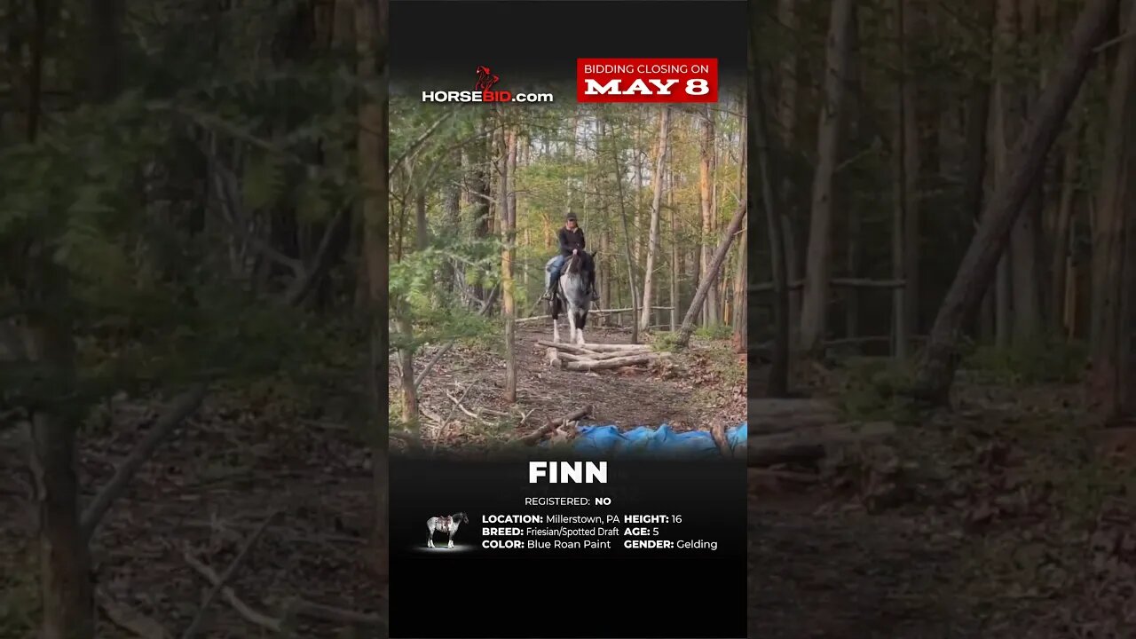 FINN