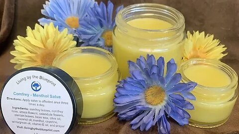 Comfrey Menthol Salve Product Review - Living by the Blueprint