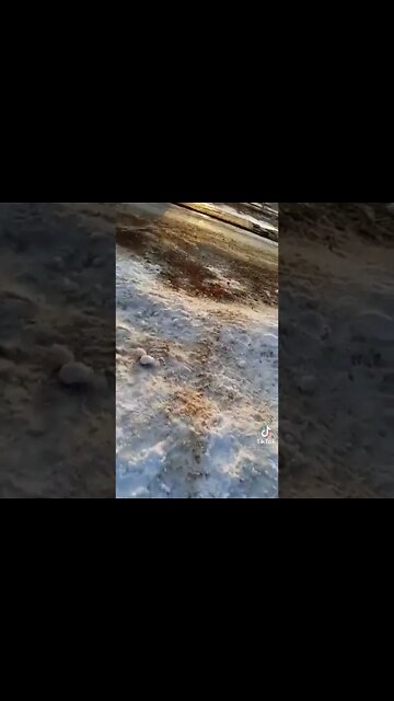 More Russians Tanks on the Way - in Bikin